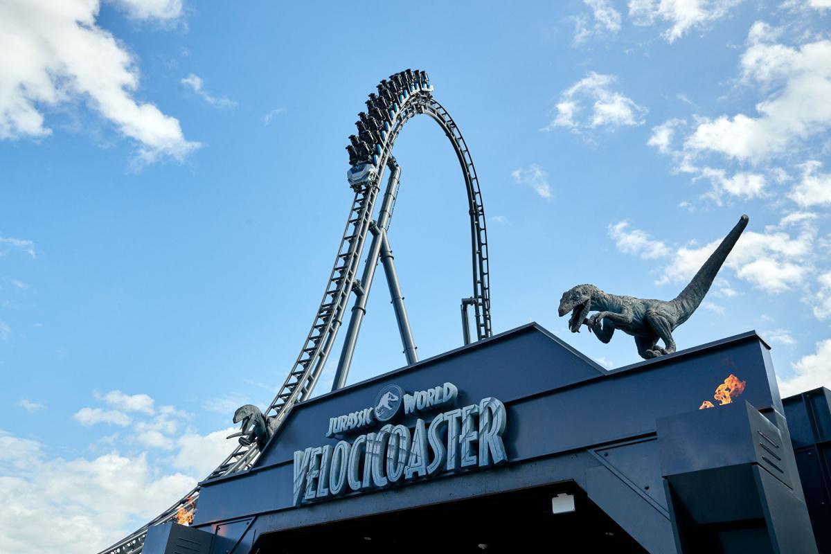 Am 10. Juni 2021 sind die Raptoren los Am 10. Juni 2021 sind die Raptoren los