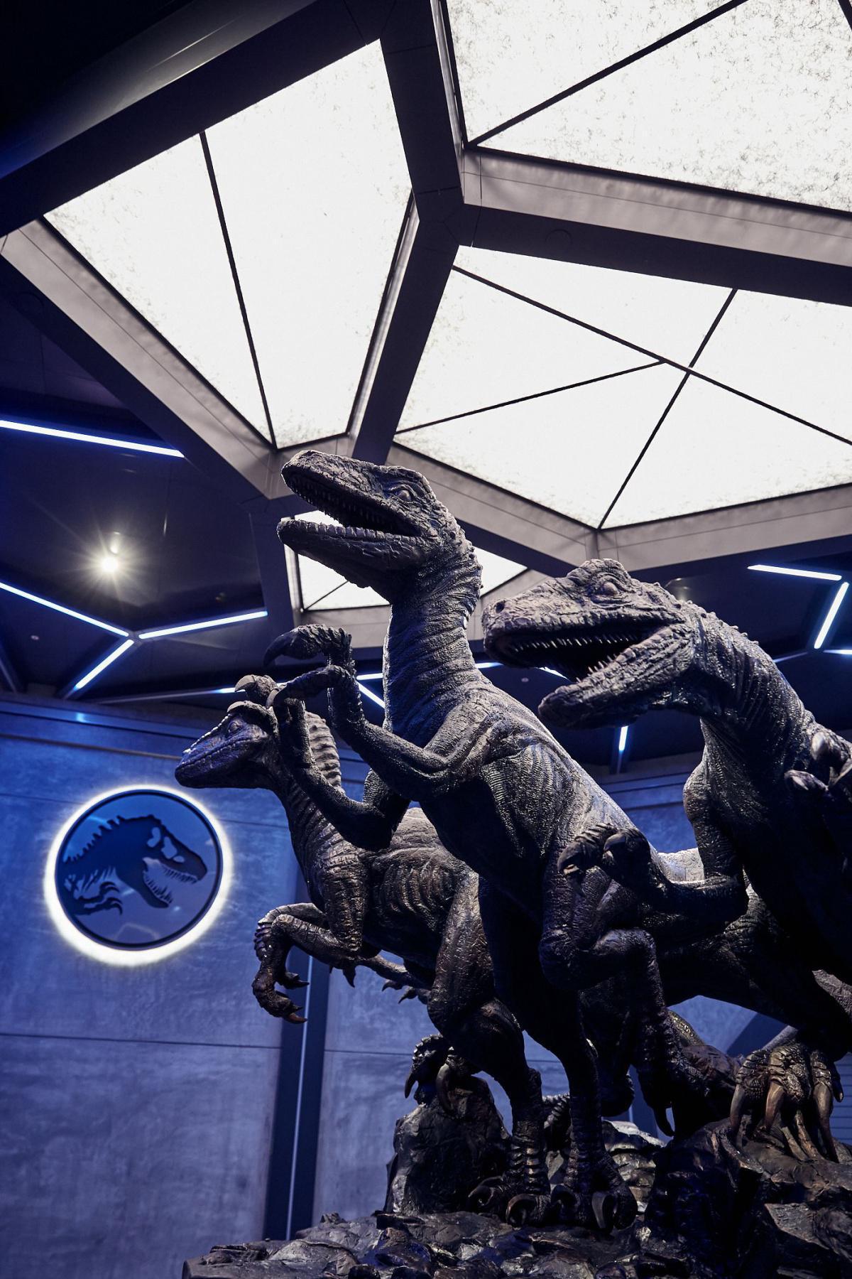 Am 10. Juni 2021 sind die Raptoren los