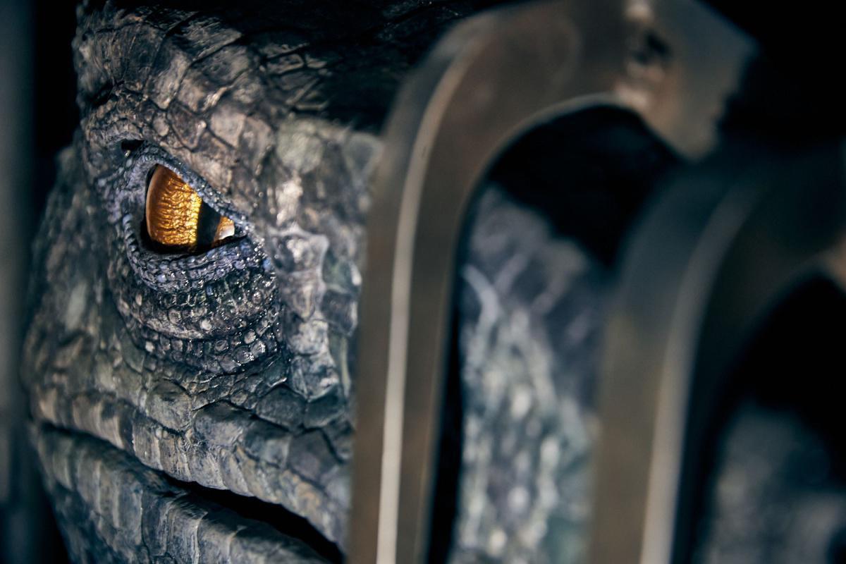 Am 10. Juni 2021 sind die Raptoren los Am 10. Juni 2021 sind die Raptoren los