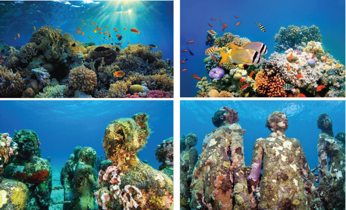 The Reefline in Miami Beach kommt demnächst The Reefline in Miami Beach kommt demnächst