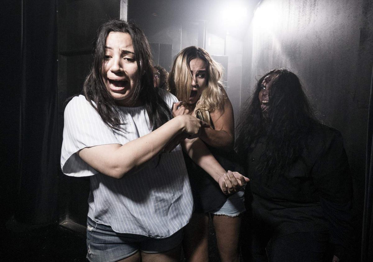 SeaWorld Orlando kündigt erstes Howl-O-Scream-Event an SeaWorld Orlando kündigt erstes Howl-O-Scream-Event an