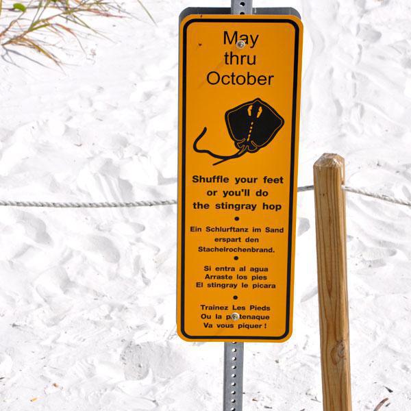 Wichtige Hinweise für euren Florida Urlaub Wichtige Hinweise für euren Florida Urlaub