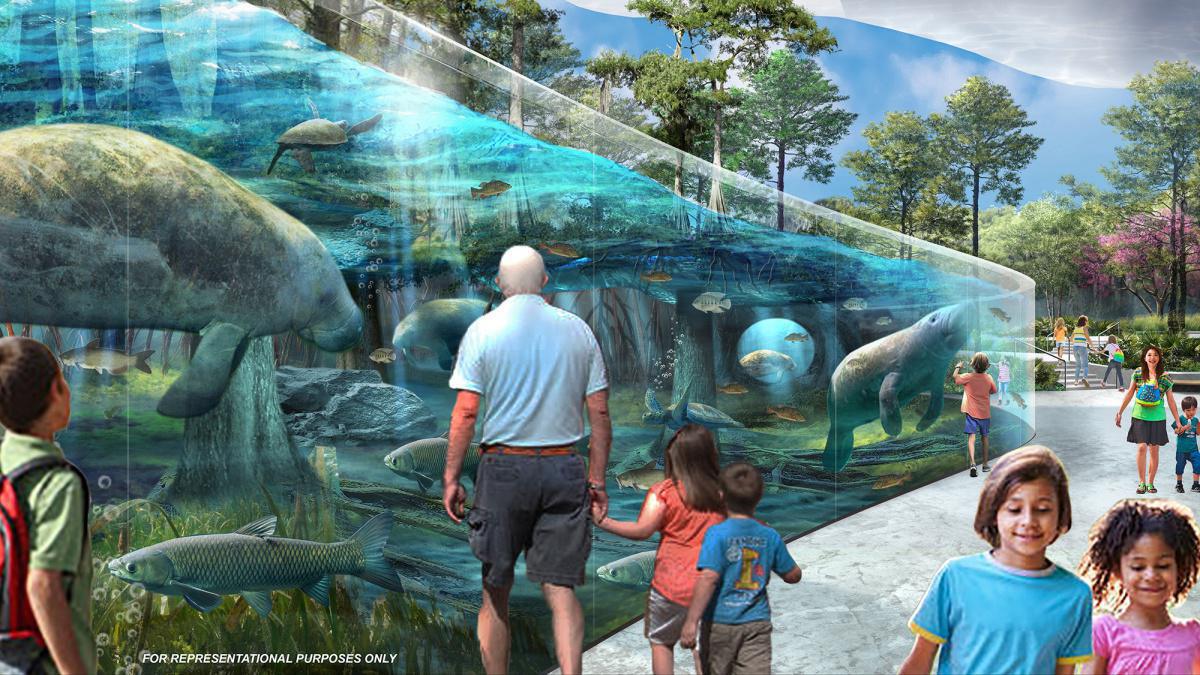 Jacksonville Zoo and Gardens will 50mio. $ in 5 Jahren investieren Jacksonville Zoo and Gardens will 50mio. $ in 5 Jahren investieren