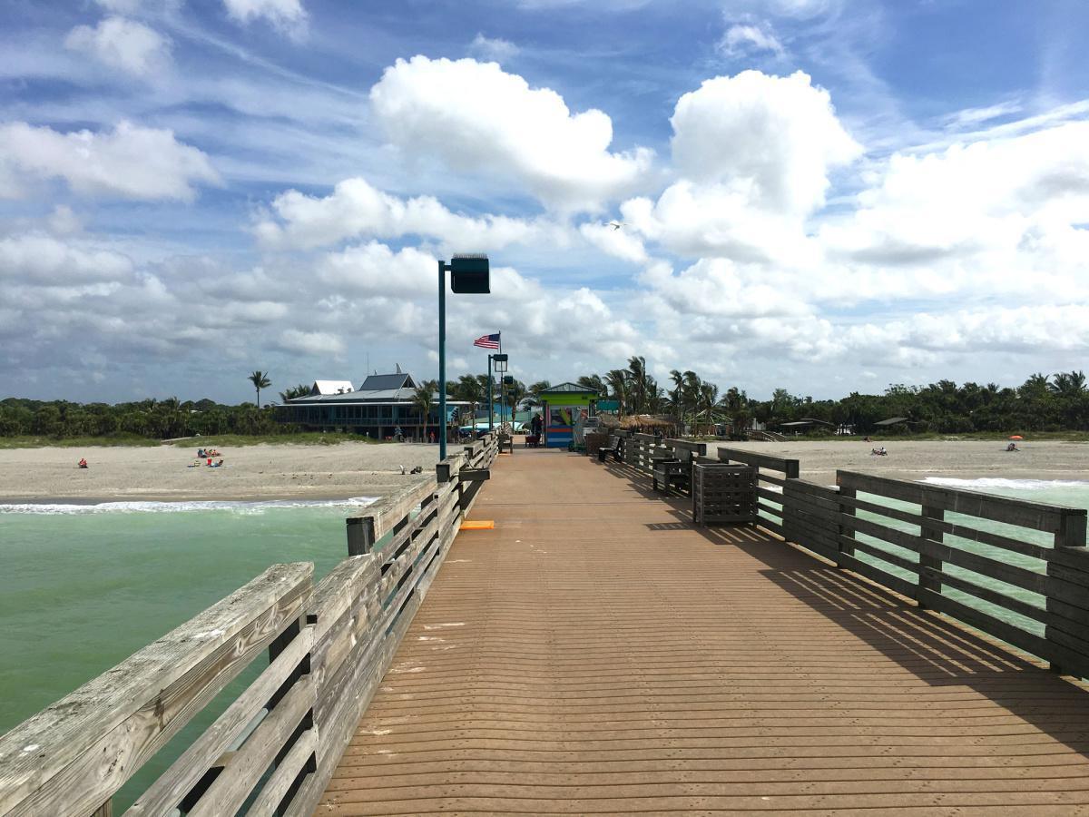 Venice - Hauptstadt der Haifischzähne Venice - Hauptstadt der Haifischzähne