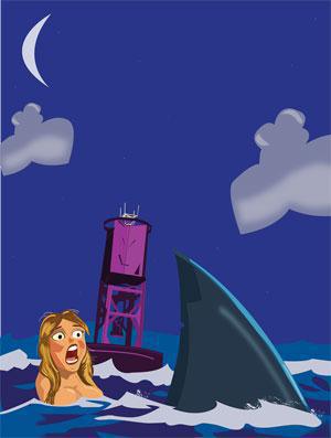 Haie in Florida - Arten, Angriffe, Fakten und Informationen Haie in Florida - Arten, Angriffe, Fakten und Informationen