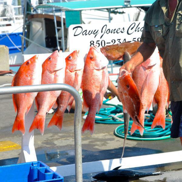Viele Angebote von Freizeitaktivitäten in Florida Viele Angebote von Freizeitaktivitäten in Florida