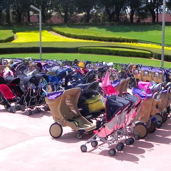 Der perfekte Familienurlaub im Sunshine State Der perfekte Familienurlaub im Sunshine State