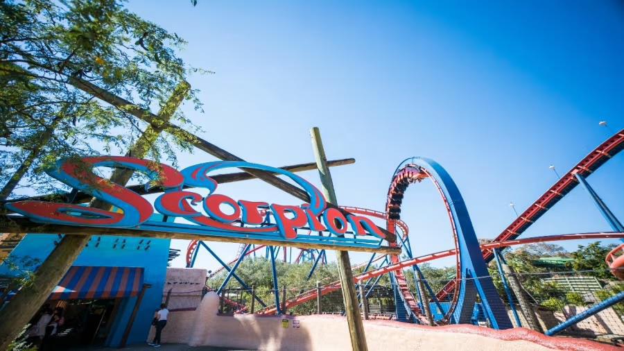 Diese langjährige Achterbahn von Busch Gardens Tampa Bay wird bald geschlossen Diese langjährige Achterbahn von Busch Gardens Tampa Bay wird bald geschlossen
