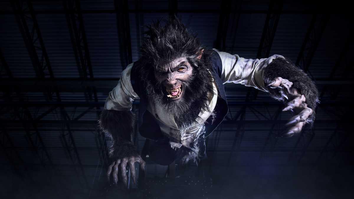 Ein Blick auf die Figuren - Monsters Unchained: Das Frankenstein-Experiment im Universal Epic Universe Ein Blick auf die Figuren - Monsters Unchained: Das Frankenstein-Experiment im Universal Epic Universe