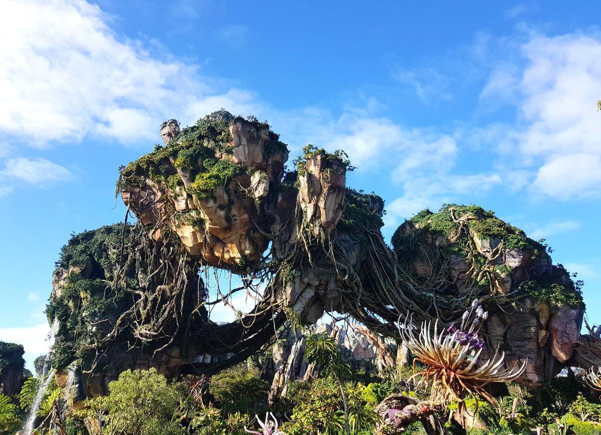 Disney's Animal Kingdom - Tiere und tolle Attraktionen Disney's Animal Kingdom - Tiere und tolle Attraktionen