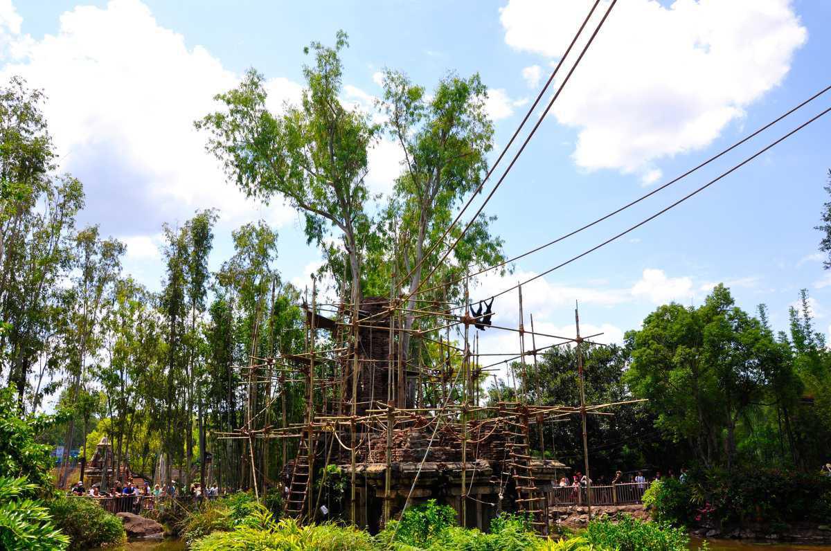 Disney's Animal Kingdom - Tiere und tolle Attraktionen Disney's Animal Kingdom - Tiere und tolle Attraktionen