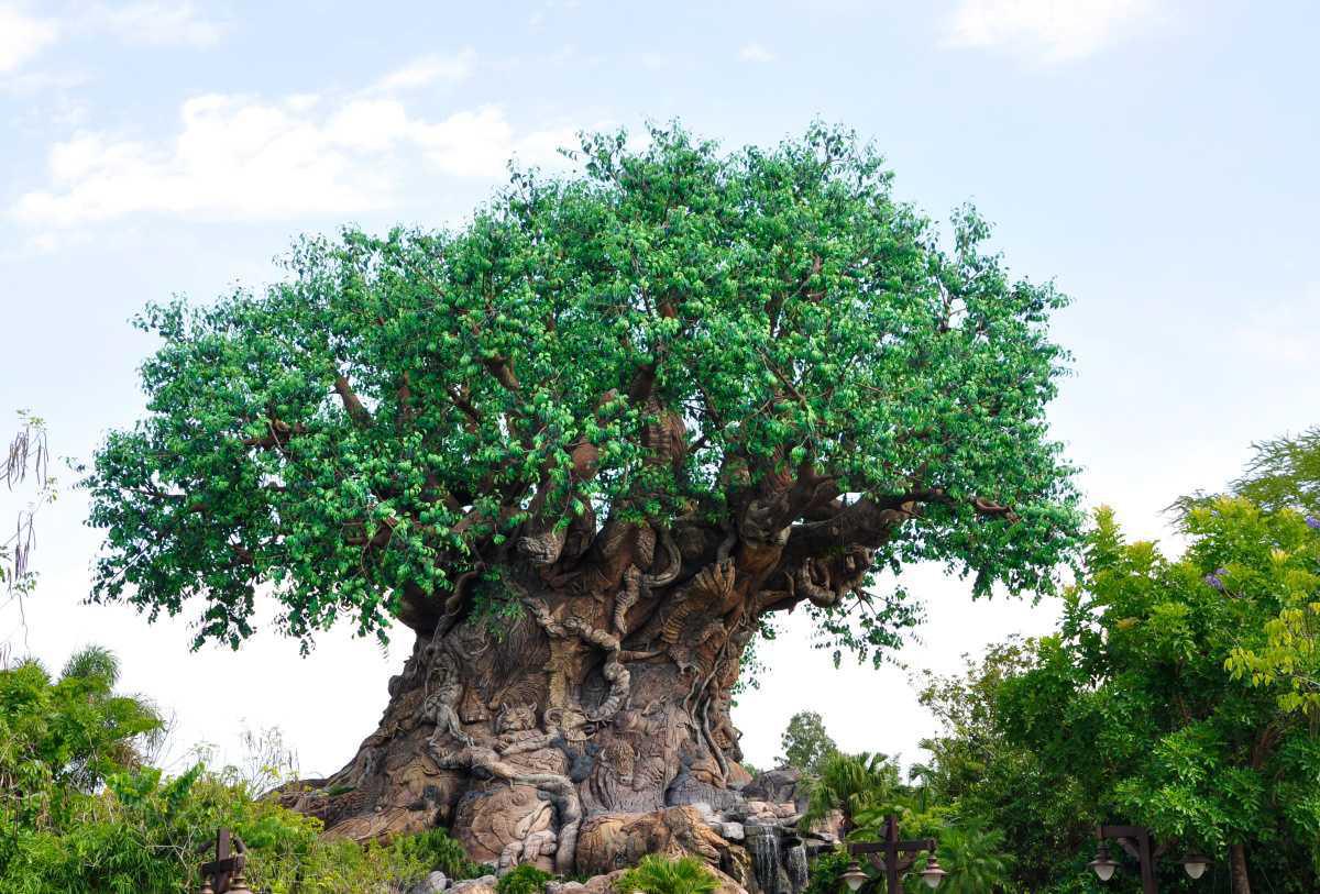 Disney's Animal Kingdom - Tiere und tolle Attraktionen Disney's Animal Kingdom - Tiere und tolle Attraktionen