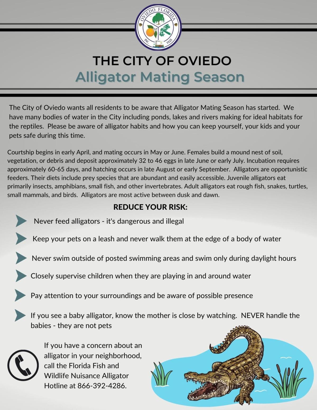 Achtung! Paarungszeit bei Alligatoren - Das sollte man wissen! Achtung! Paarungszeit bei Alligatoren - Das sollte man wissen!