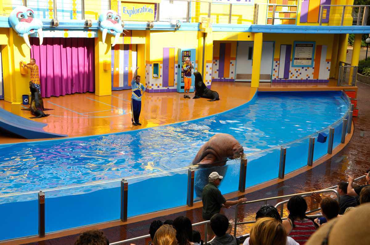 SeaWorld - Erlebe die Welt der Meerestiere und Adrenalin