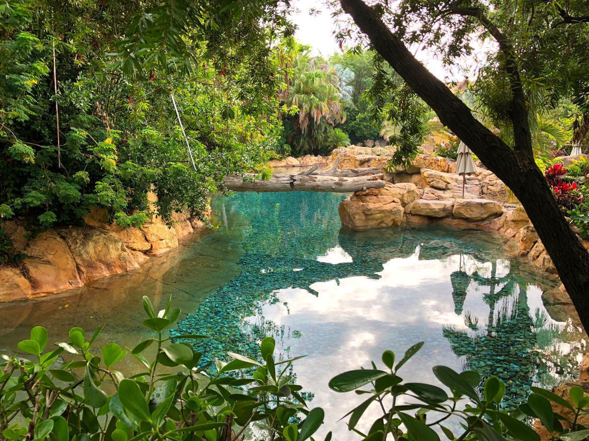 Discovery Cove - Ein tropisches Paradies mit tollen Tierbegegnungen