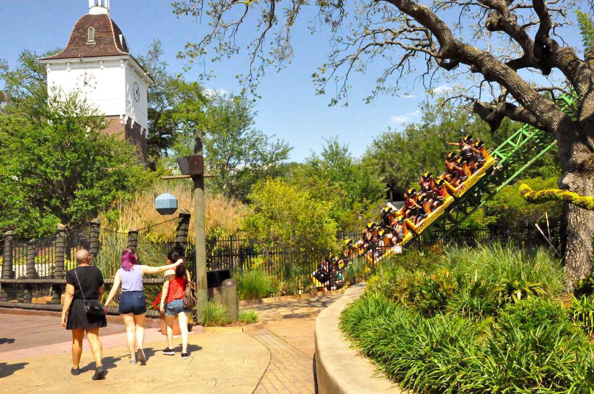 Busch Gardens - Tiere und Nervenkitzel Pur