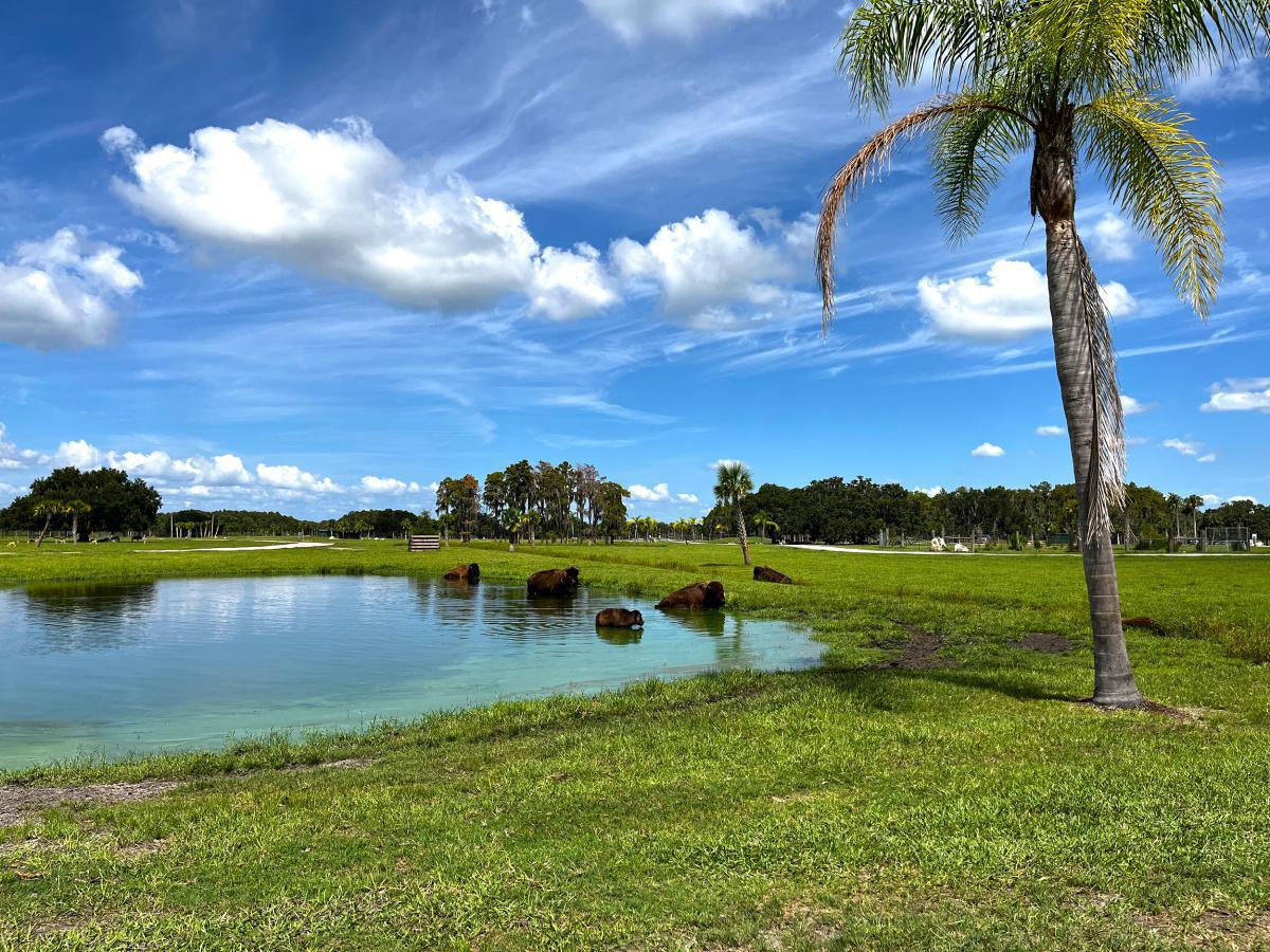 Wild Florida - Adventure Park - Safari und Airboat Abenteuer