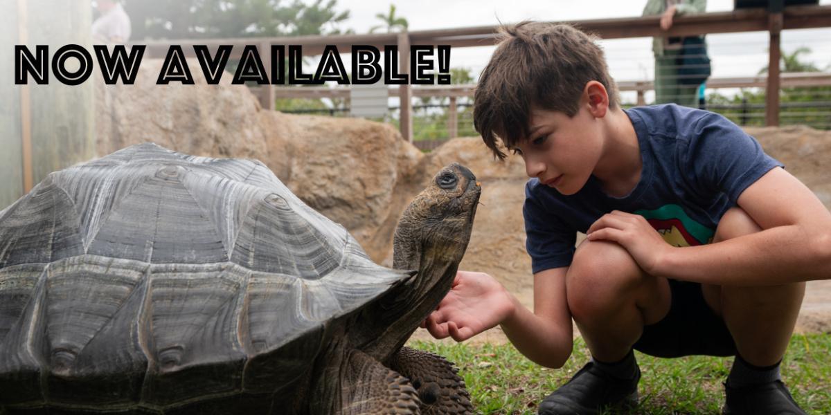 Naples Zoo at Caribbean Gardens - Mit botanischer Gartenanlage Naples Zoo at Caribbean Gardens - Mit botanischer Gartenanlage