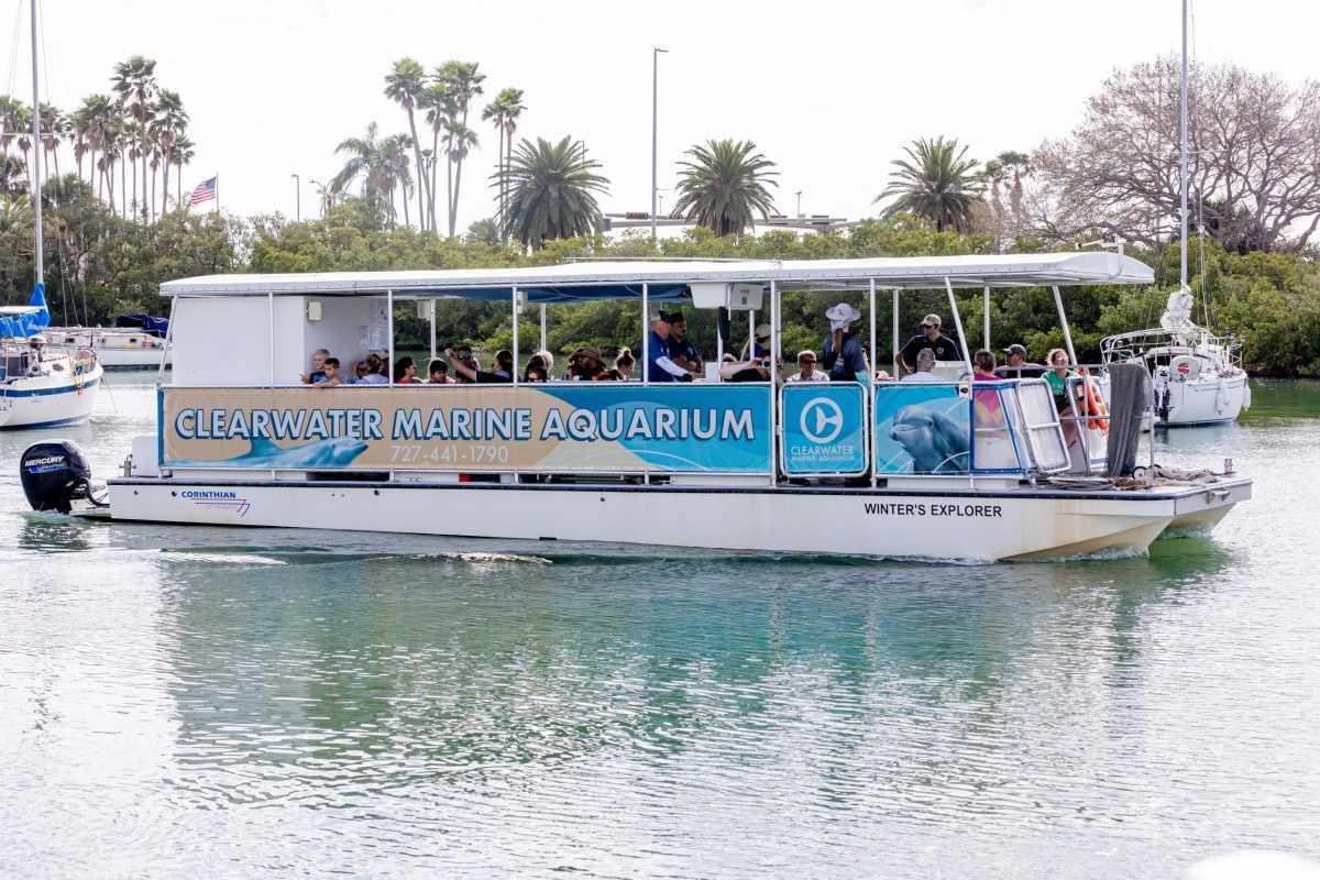 Clearwater Marine Aquarium - Das Motto: Rescue-Rehab-Release