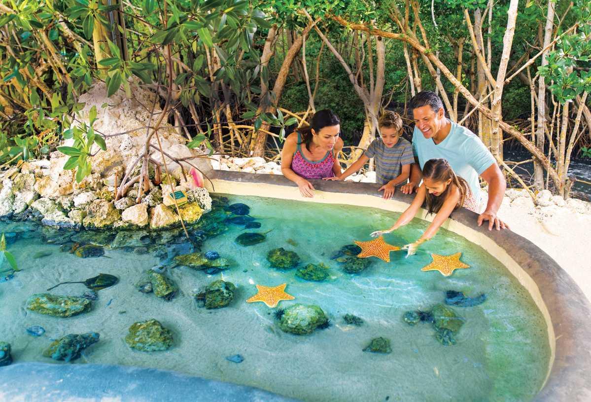 Neue Perspektiven auf die faszinierende Unterwasserwelt der Florida Keys Neue Perspektiven auf die faszinierende Unterwasserwelt der Florida Keys
