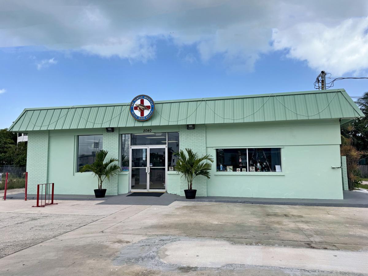 Neue Perspektiven auf die faszinierende Unterwasserwelt der Florida Keys