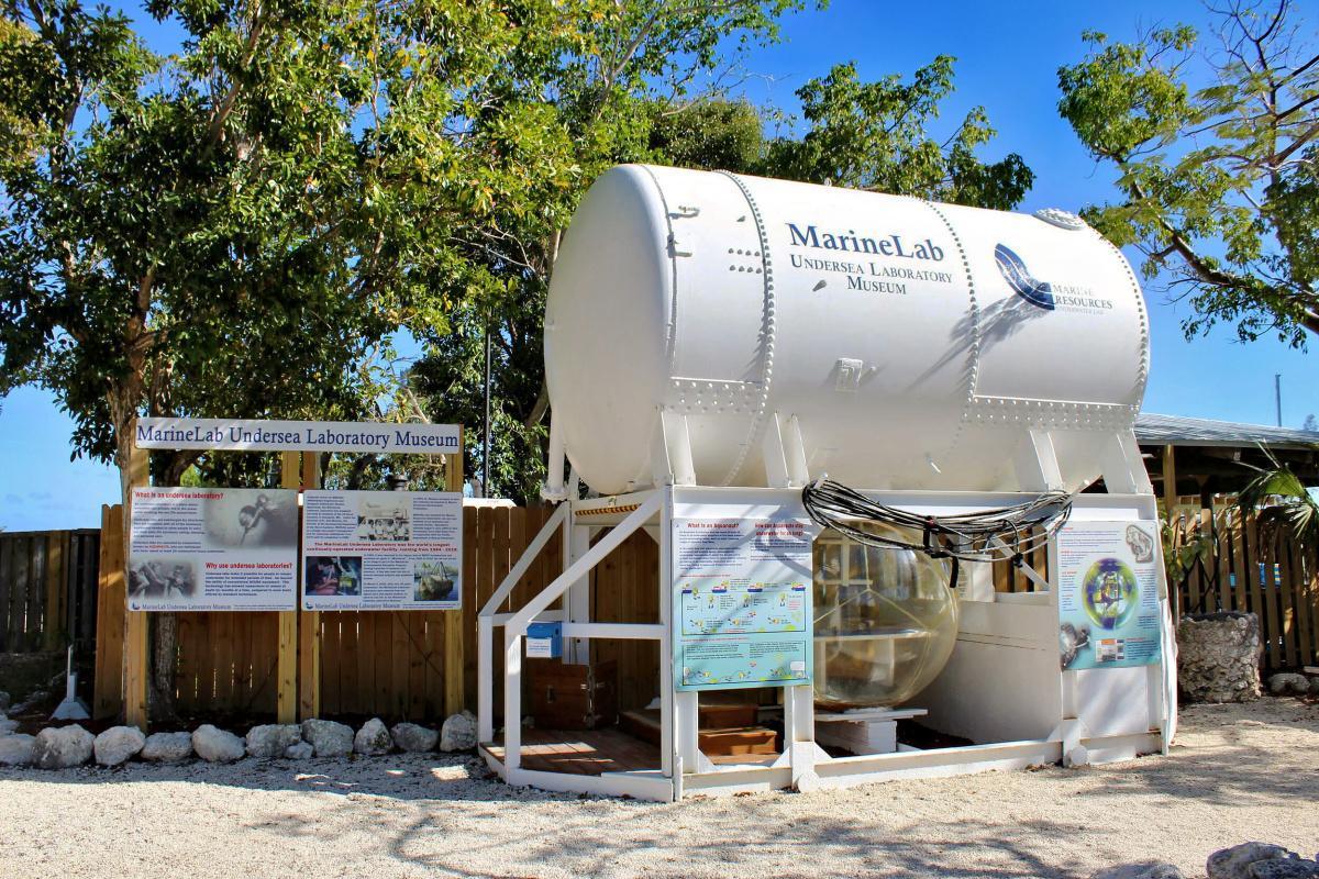 Neue Perspektiven auf die faszinierende Unterwasserwelt der Florida Keys Neue Perspektiven auf die faszinierende Unterwasserwelt der Florida Keys
