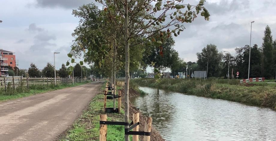 Kapvergunning Vredenburghlaan Kapvergunning Vredenburghlaan