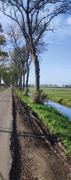 Hoogheemraadschap Hollands Noorderkwartier pakt bermen aan Hoogheemraadschap Hollands Noorderkwartier pakt bermen aan