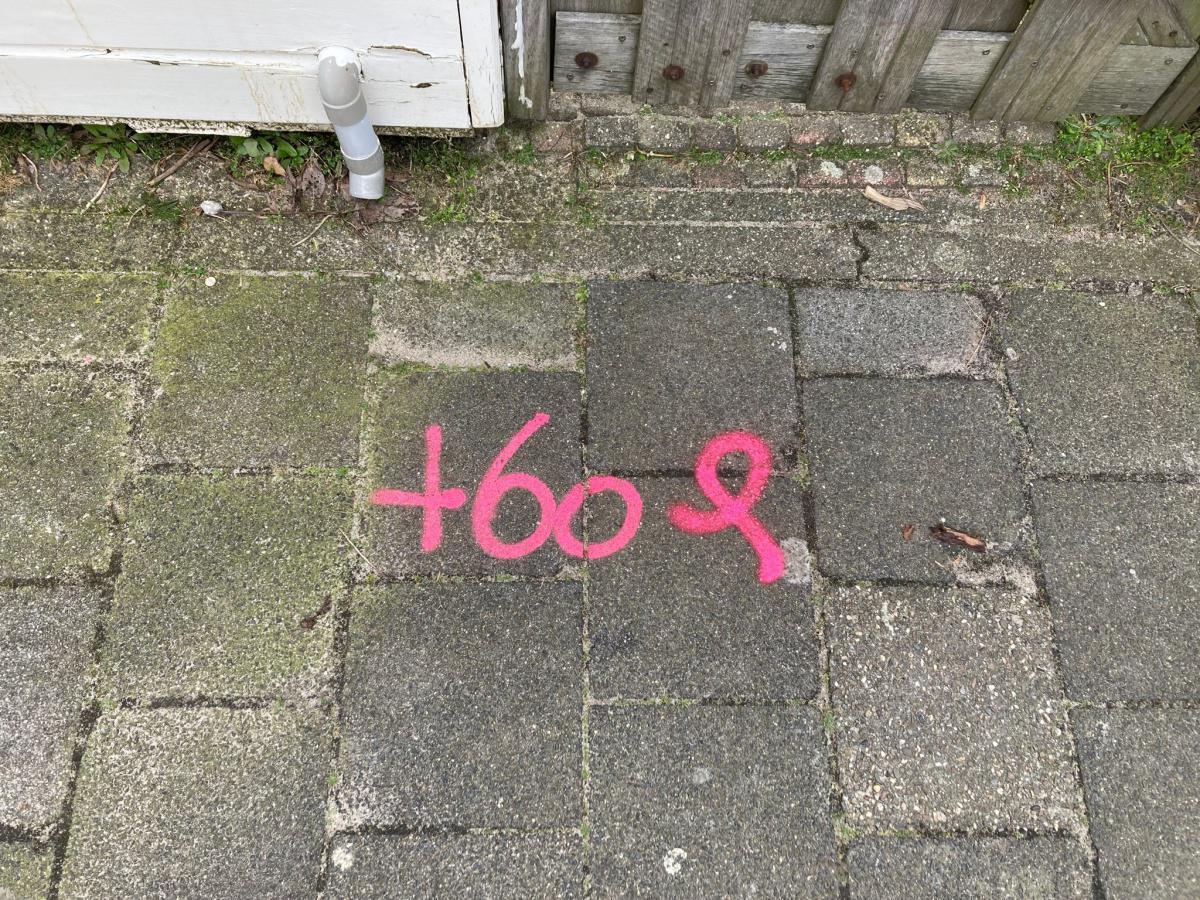 Deelgebied 1, aangepaste hoogte Deelgebied 1, aangepaste hoogte