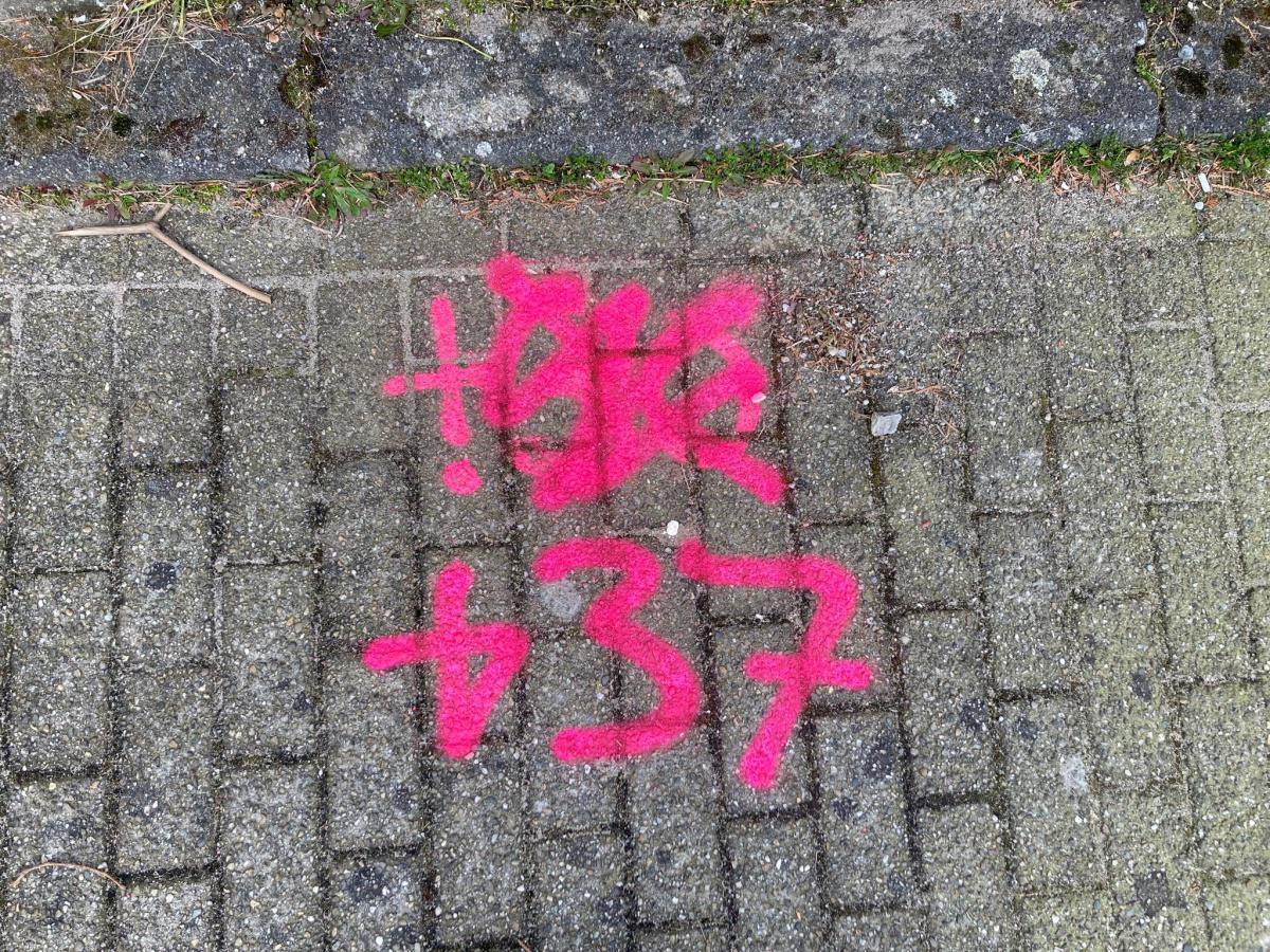 Deelgebied 1, aangepaste hoogte Deelgebied 1, aangepaste hoogte