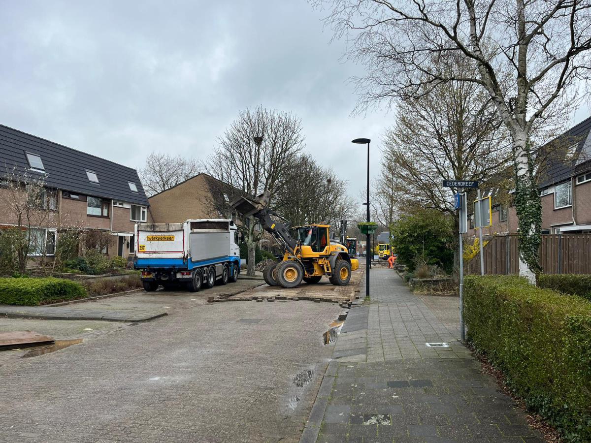 Deelgebied 2. De werkzaamheden in Kastanjedreef zijn gestart. Deelgebied 2. De werkzaamheden in Kastanjedreef zijn gestart.