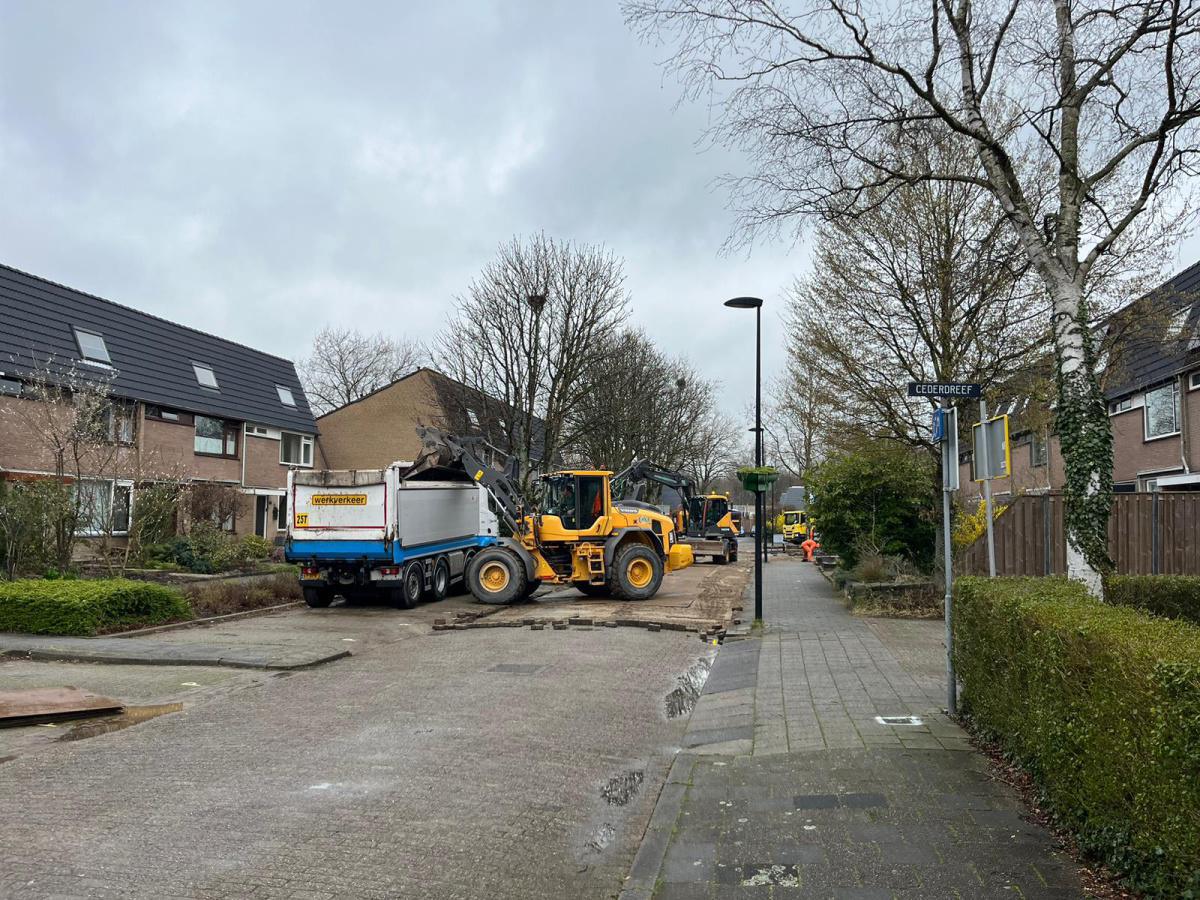 Deelgebied 2. De werkzaamheden in Kastanjedreef zijn gestart. Deelgebied 2. De werkzaamheden in Kastanjedreef zijn gestart.