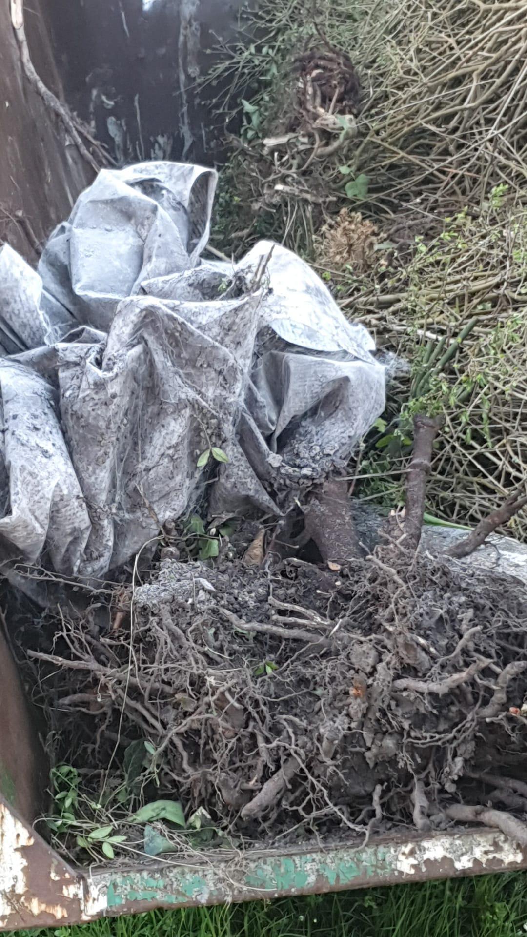 Groencontainer Groencontainer