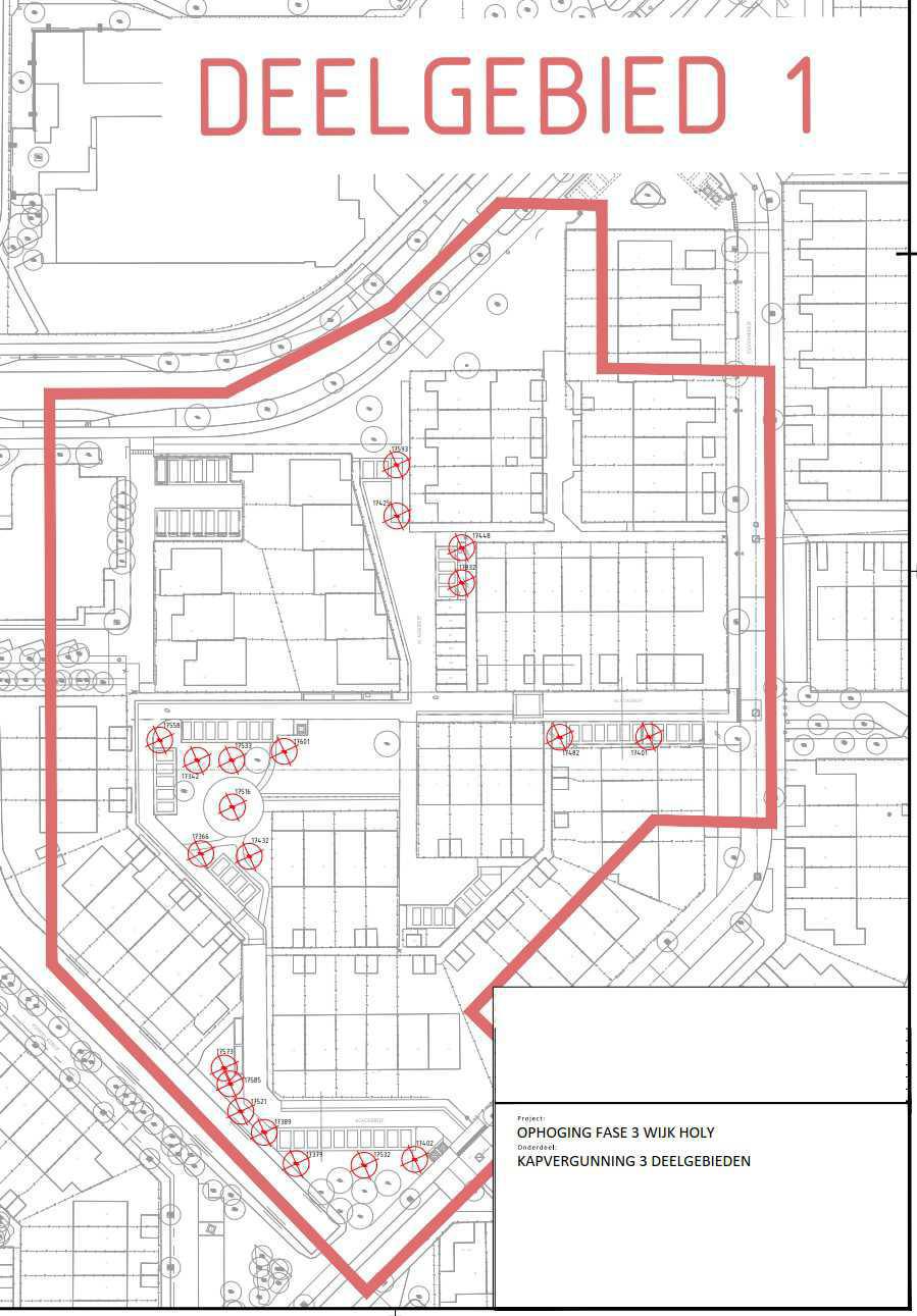 Deelgebied 1, start bomenkap Deelgebied 1, start bomenkap