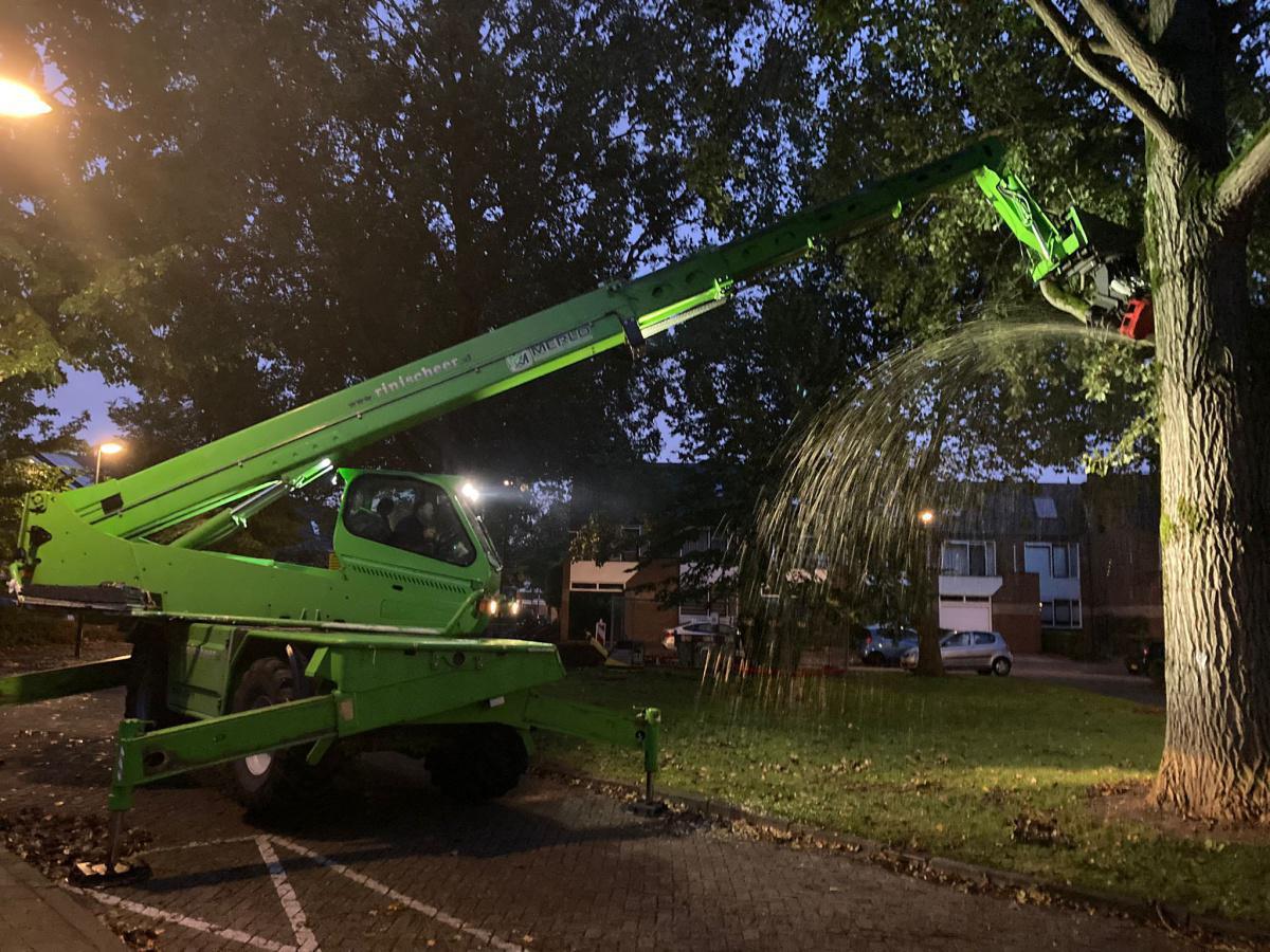 Deelgebied 3, bomenkap gestart Deelgebied 3, bomenkap gestart