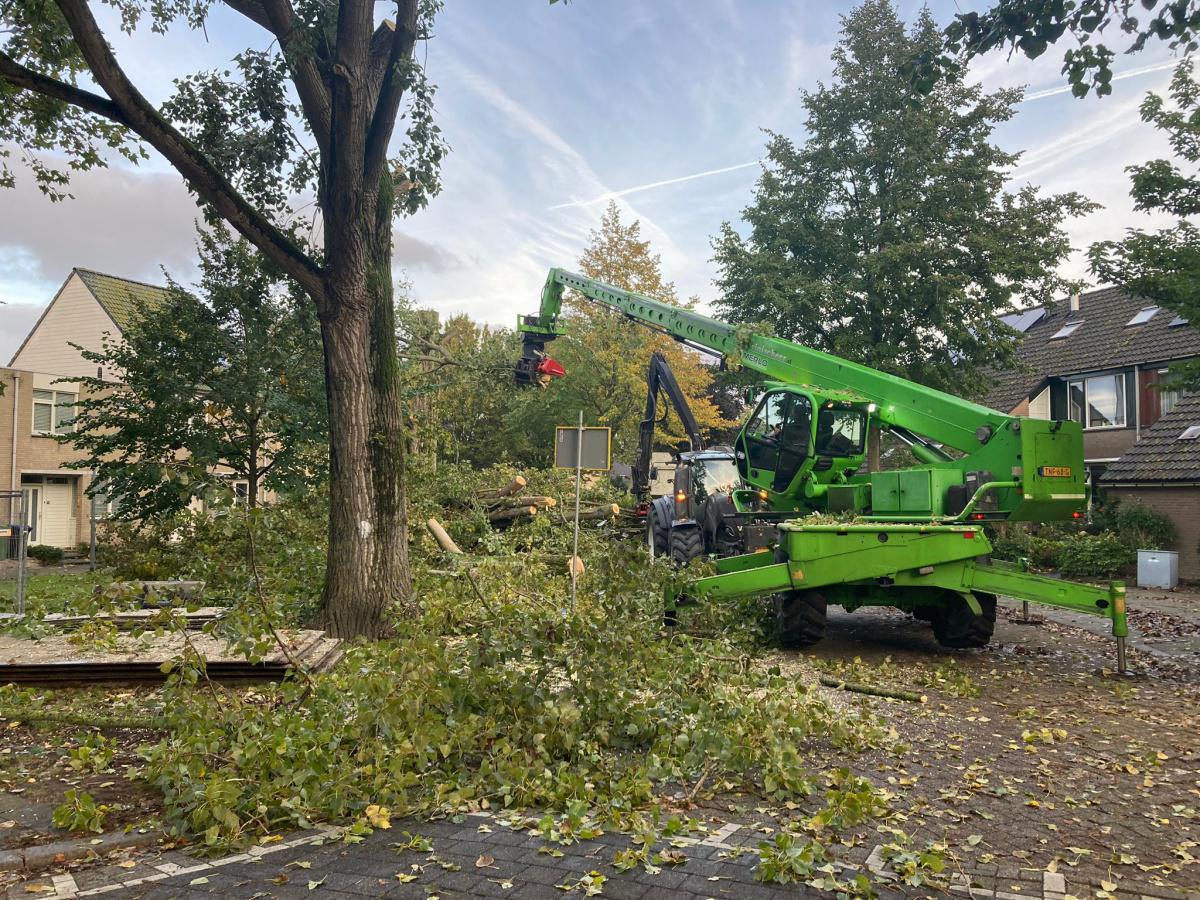 Deelgebied 3, bomenkap gestart Deelgebied 3, bomenkap gestart