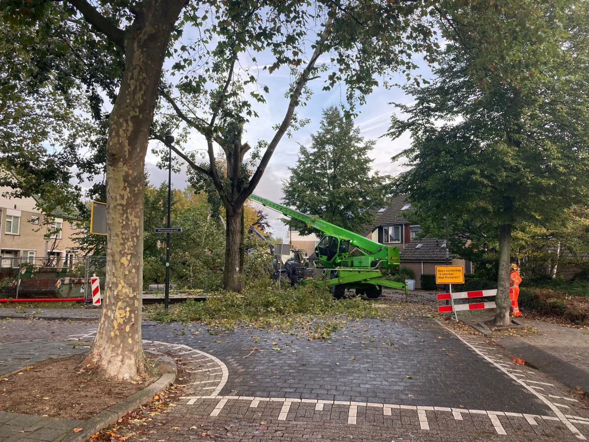 Deelgebied 3, bomenkap gestart Deelgebied 3, bomenkap gestart
