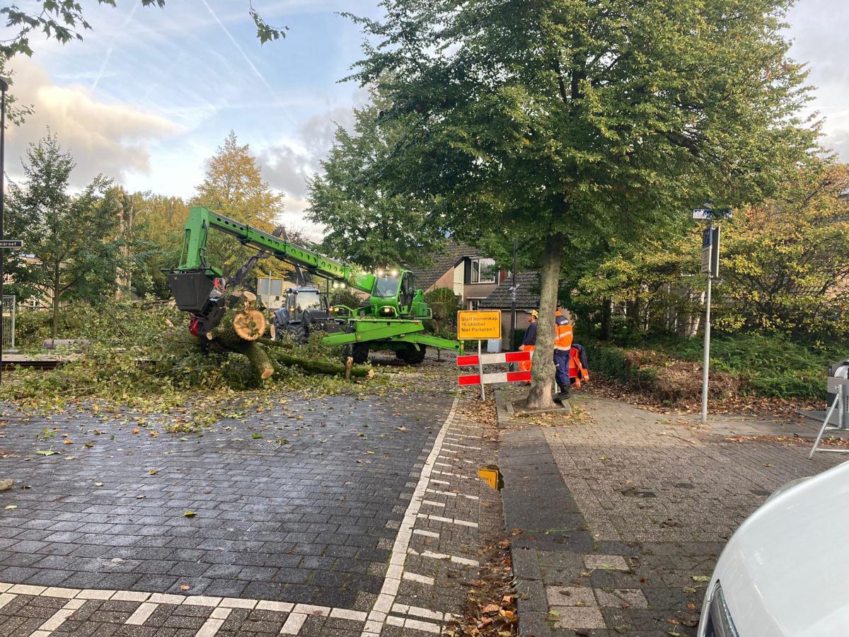 Deelgebied 3, bomenkap gestart Deelgebied 3, bomenkap gestart