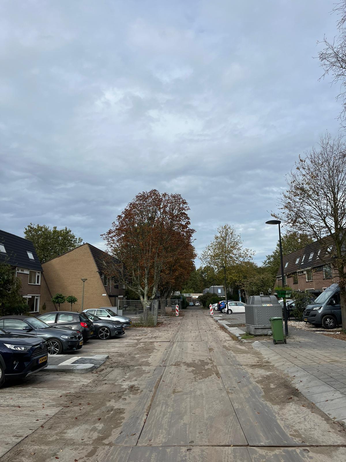 Deelgebied 2, start bomenkap Deelgebied 2, start bomenkap