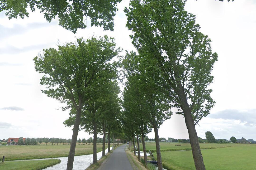 Zomerdijk