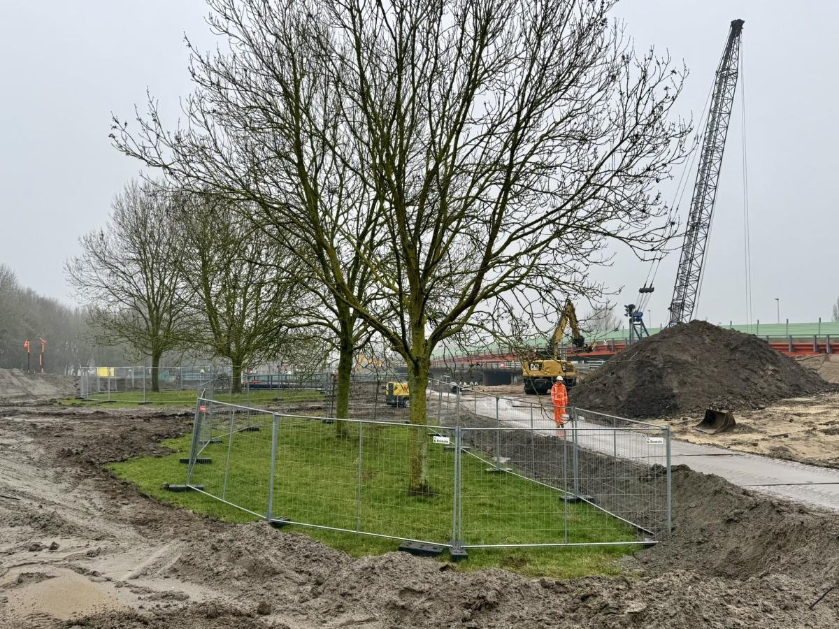 Kap van boom op Lammenschansplein Kap van boom op Lammenschansplein