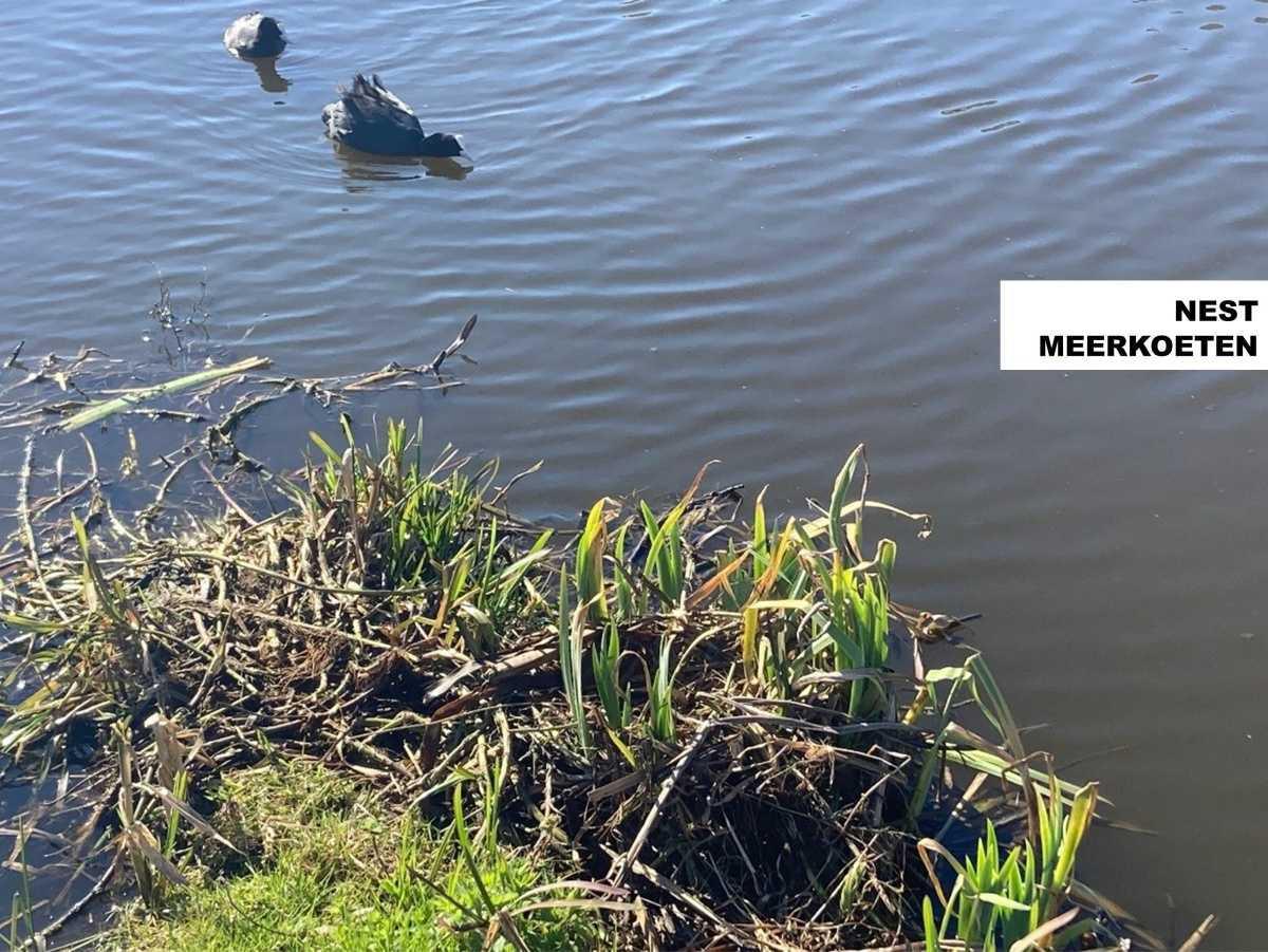 Bouwupdate #13 - Maart