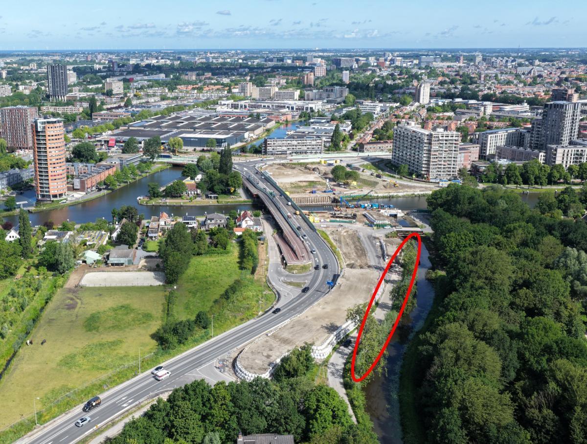 Verwijderen bomen langs Vrouwenweg/N206