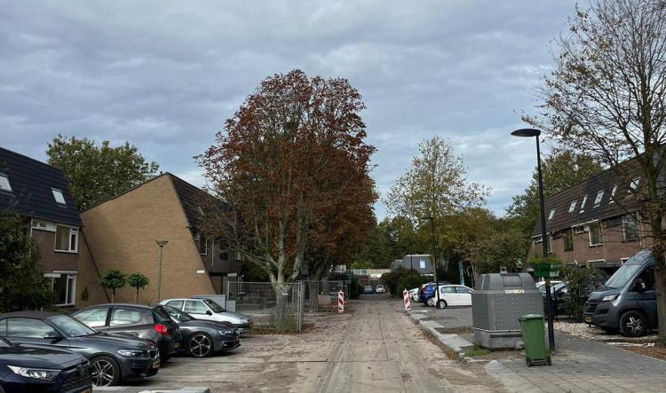 Deelgebied 2, start bomenkap