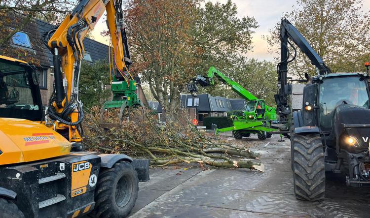 Deelgebied 2, bomenkap gestart