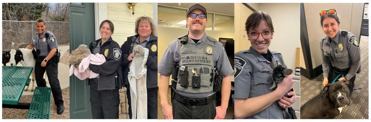 National Animal Management Officer appreciation week.  National Animal Management Officer appreciation week.