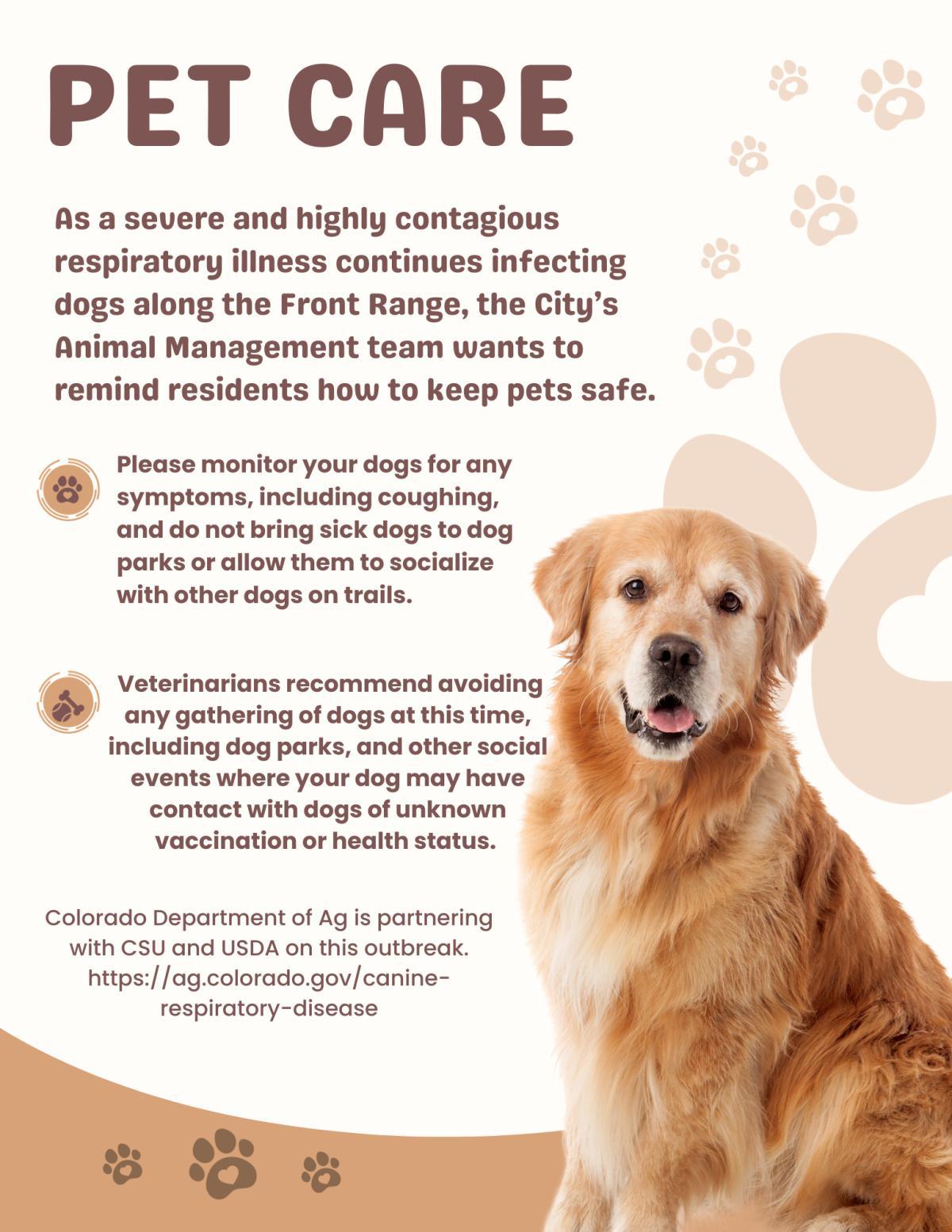 Canine Respiratory Illness