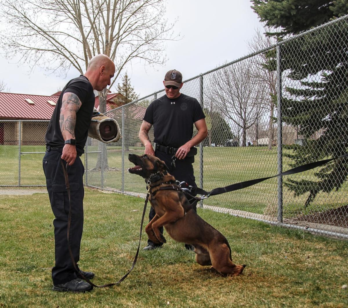 Remembering K9 Rudy Remembering K9 Rudy