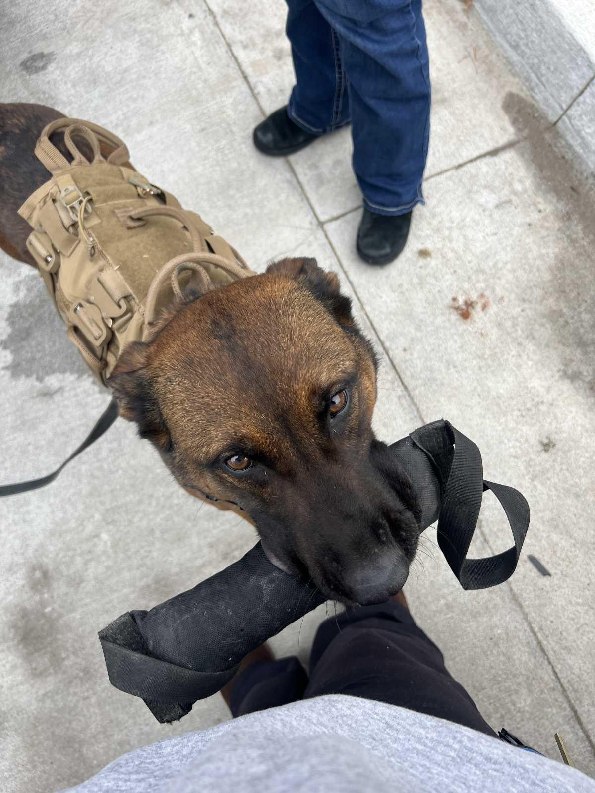 Remembering K9 Rudy Remembering K9 Rudy