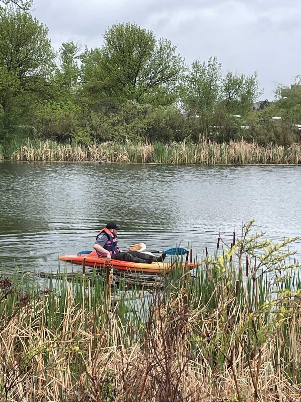 Animal Management Officer Saves of the Month Animal Management Officer Saves of the Month